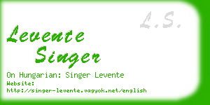 levente singer business card